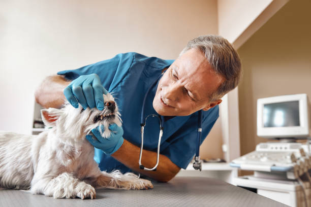 Best Emergency Tooth Extraction in , MD